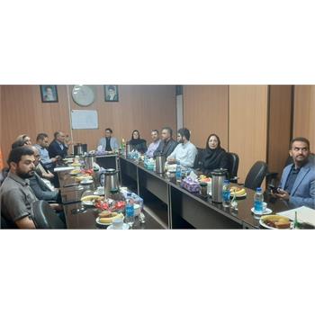 مدیر کل مراکز فناوری و نوآوری بنیاد مستضعفان با فناوران مرکز رشد و پارک علم و فناوری سلامت دیدار کرد.