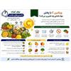 ویتامین C با پختن مواد غذایی چه تغییری می‌کند؟