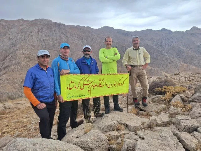 کپول شنل